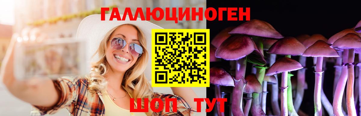 Псилоцибиновые грибы Cubensis Волжский